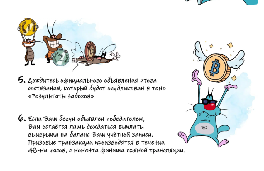 Гайд шаги 5-6